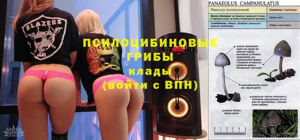 ECSTASY Коряжма