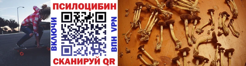 Псилоцибиновые грибы Magic Shrooms  Купить  Жуков 